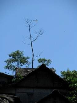 Percakapan Kejakartaan di Baduy Dalam