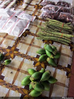 Mencari Gedung Pari, Mendapat Pinang Sirih