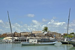 Warga Papela Sebagai Nelayan Yang Handal dan Berani
