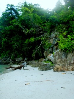 Rayuan Pulau Tiga