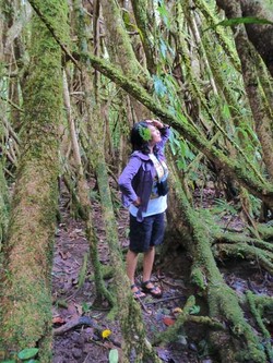 Pantai, Teluk, Sungai, Air Terjun. Semua Terjelajahi!