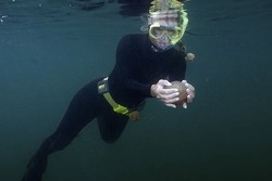 Kelana Keajaiban Kakaban