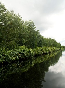 Cagar Alam Biosfer Giam Siak Kecil Bukit Batu, Warisan untuk Anak Cucu