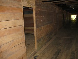 Dimana Rumah Betang Tegak Berdiri