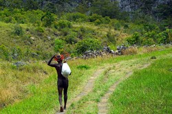 Jalur Surga di Kurima