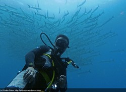 Berburu Sang Pemburu Laut di Kepulauan Padaido, Biak