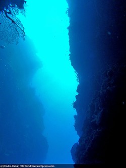 Berenang di Kegelapan Pulau Mansurbabo: Hanya Untuk Sang Pemberani