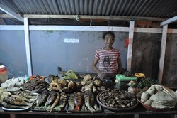 Kuliner Tradisional Kei