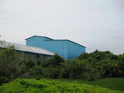 Kota Walet di Tengah Ketapang