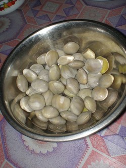 Rumah Betang Ensaid Panjang