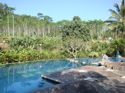 Margo Utomo Hillview Cottages