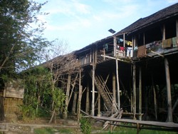 Rumah Betang Sungulok Palin (Home Stay)