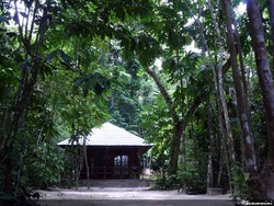Raja Ampat Dive Resort