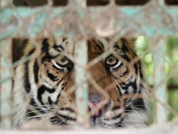 Taman Satwa Taru Jurug