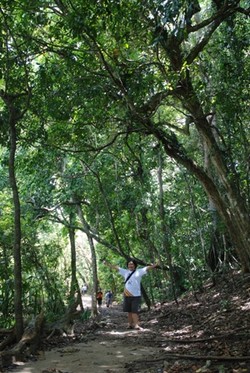 Taman Wisata Alam Pangandaran