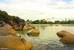 Pantai Tanjung Tinggi