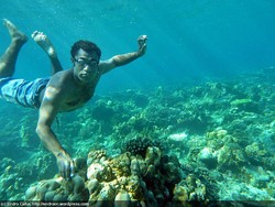 Taman Laut Kepulauan Ambai, Yapen