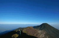Taman Gunung Halimun / Salak