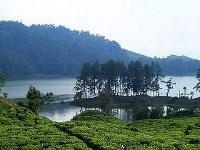 Situ Patenggang Bandung