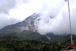 Dana untuk Membeli Ternak Warga Merapi Baru Terserap Rp 10,5 M