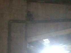 Orang Gila Nangkring di Talang Fly Over Ciputat, Lalin Macet