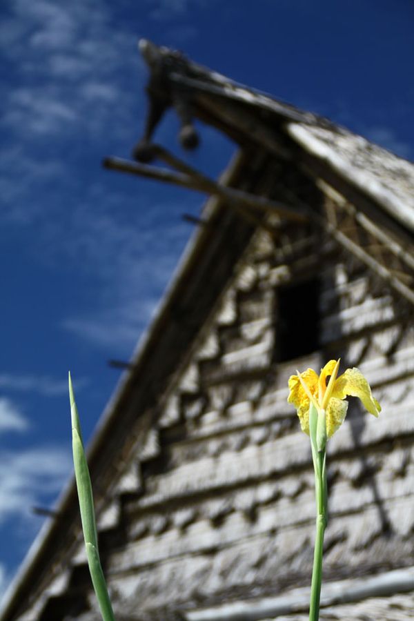 Sasadu, Rumah Adat Halmahera Barat