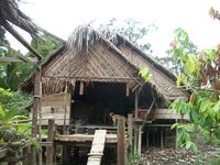 Mengunjungi Rumah Sikerei