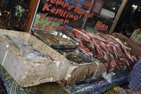 Jangan Lewatkan Menikmati Kuliner Malam di Kampung Solor, Kupang