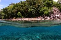Bawah Laut Filonga Nan Berwarna