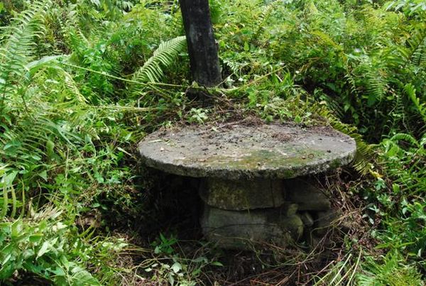 Situs Megalitikum VS Ilalang