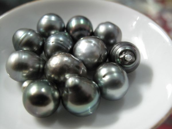 Mutiara dan si Rumput Laut