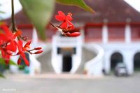 Berwisata di Kota Pempek