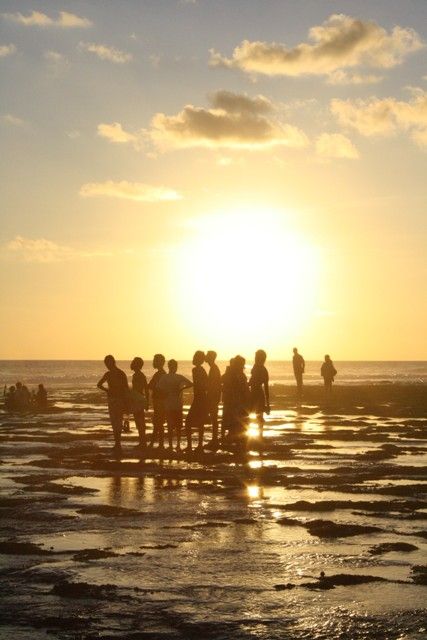 Ular Bersahabat di Wera