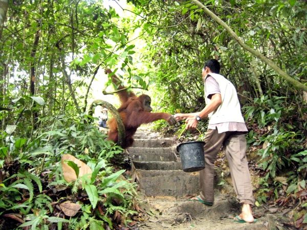 Taman Nasional Gunung Leuser