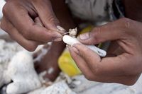 Berburu Ikan ala Anak-anak Jikumerasa
