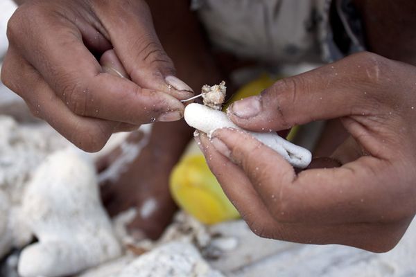 Berburu Ikan ala Anak-anak Jikumerasa