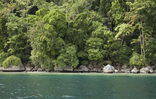 Karang dan Tebing Bebatuan Curam Nan Cantik