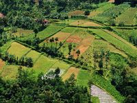 Karanganyar, Sejauh Mata Memandang