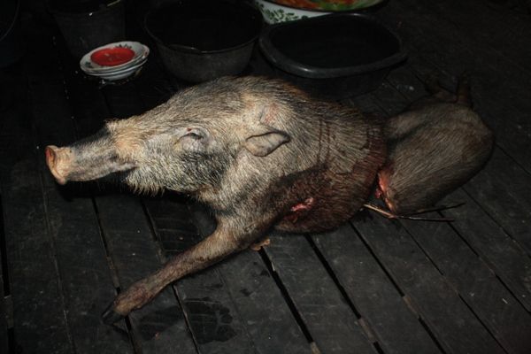 Ritual Pemanggilan Arwah