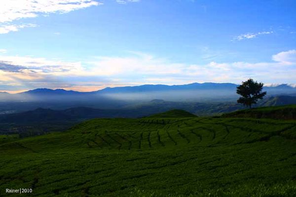 Damai Di Pinggir Pantai Burong Mandi