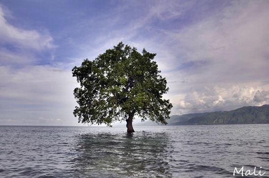 Keindahan Panorama Pantai di Nusa Tenggara Timur
