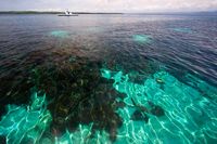 Melepas Pandang di Nusa Penida