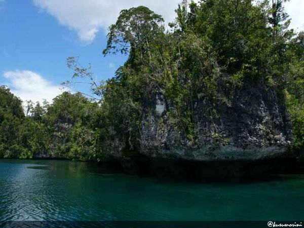 Menyusuri Tenangnya Teluk Kabui, Raja Ampat