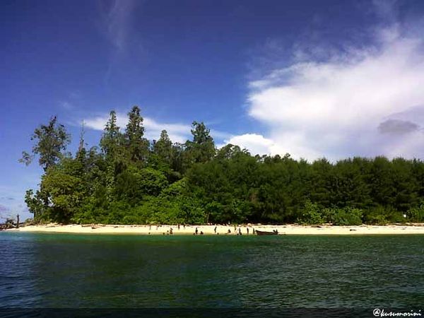Pulau Um, Cantik Mungil Habitat Kelelawar