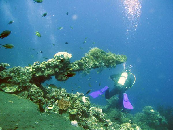 Kehidupan Bawah Laut Tulamben