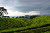 Pagaralam Nan Hijau Dan Sejuk