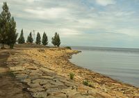 Cemara dan Pantai