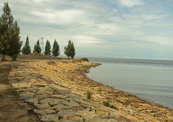 Cemara dan Pantai