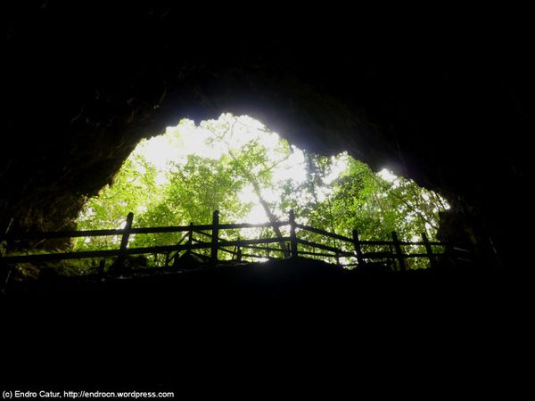 Menelisik Masa Lalu Biak di Gua Jepang