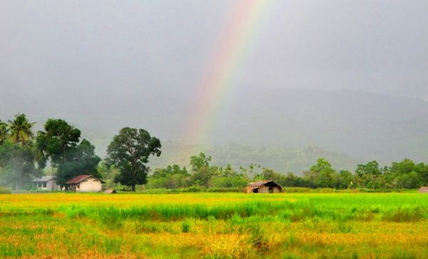Perjalanan Maumere ke Larantuka